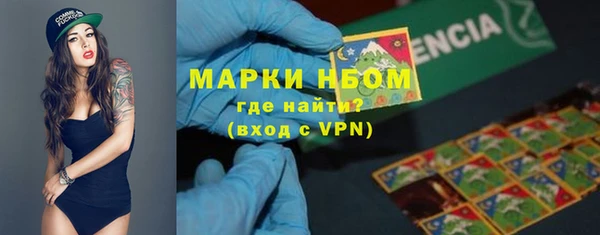 Альфа ПВП Аркадак