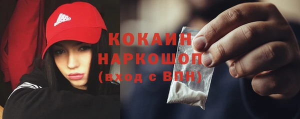 Альфа ПВП Аркадак